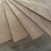 okoume plywood